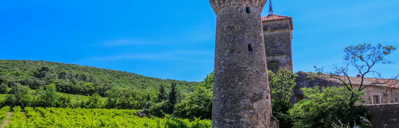 location gîte vacances roujan